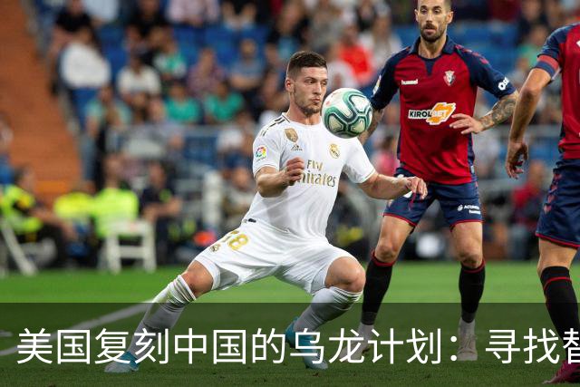 美国复刻中国的乌龙计划：寻找替代品的冒险之旅