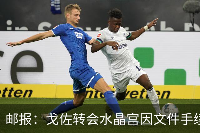 邮报：戈佐转会水晶宫因文件手续受阻，俱乐部仍对交易完成有信心